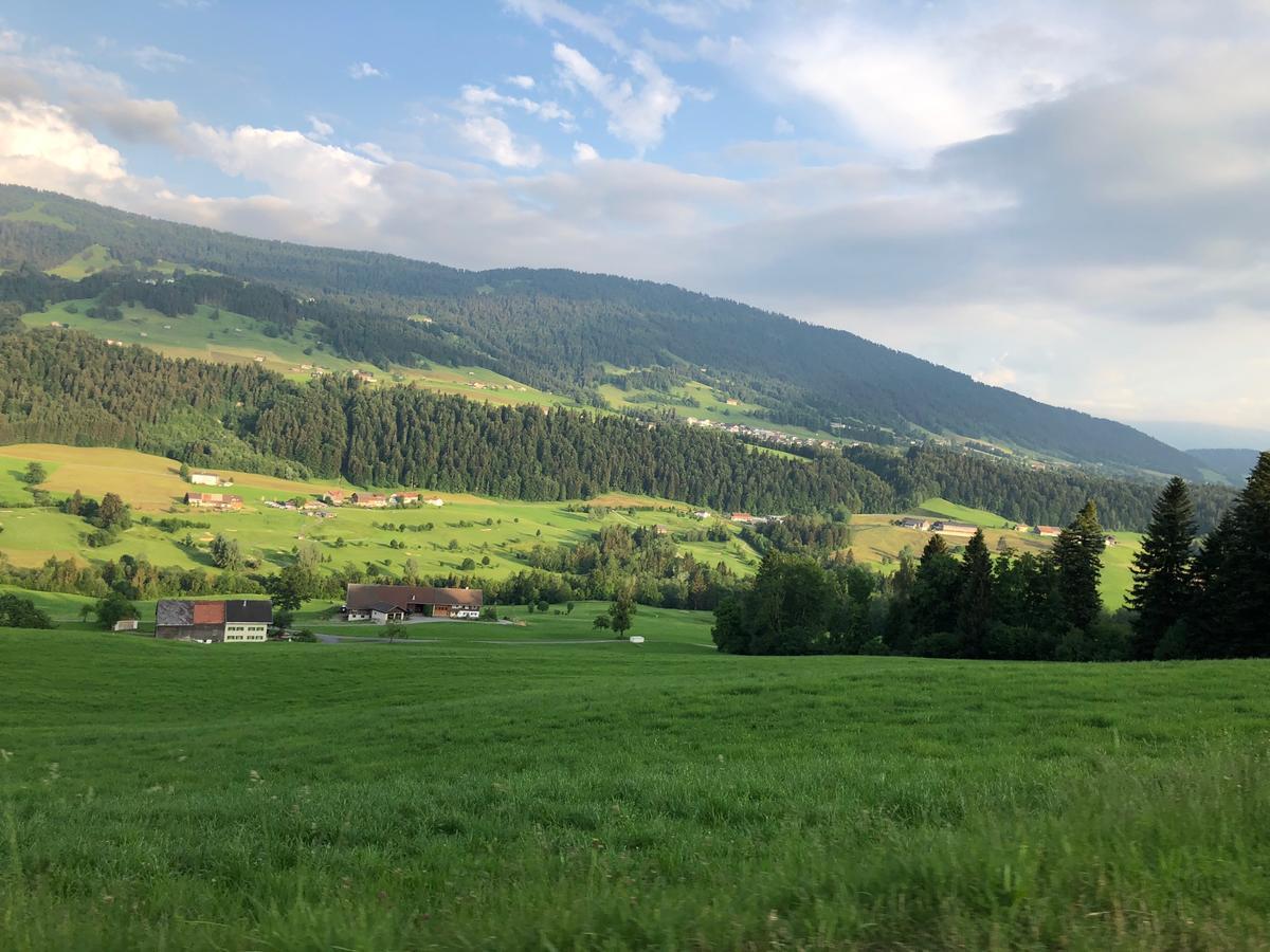 Allgau Landhotel Oberreute Kültér fotó