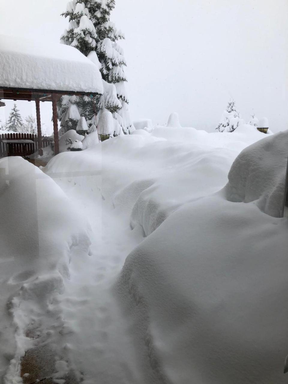 Allgau Landhotel Oberreute Kültér fotó