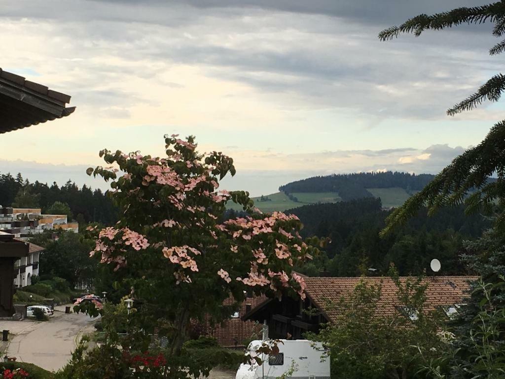 Allgau Landhotel Oberreute Kültér fotó